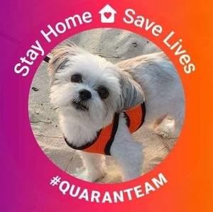 Meet your Posher, Cyndi